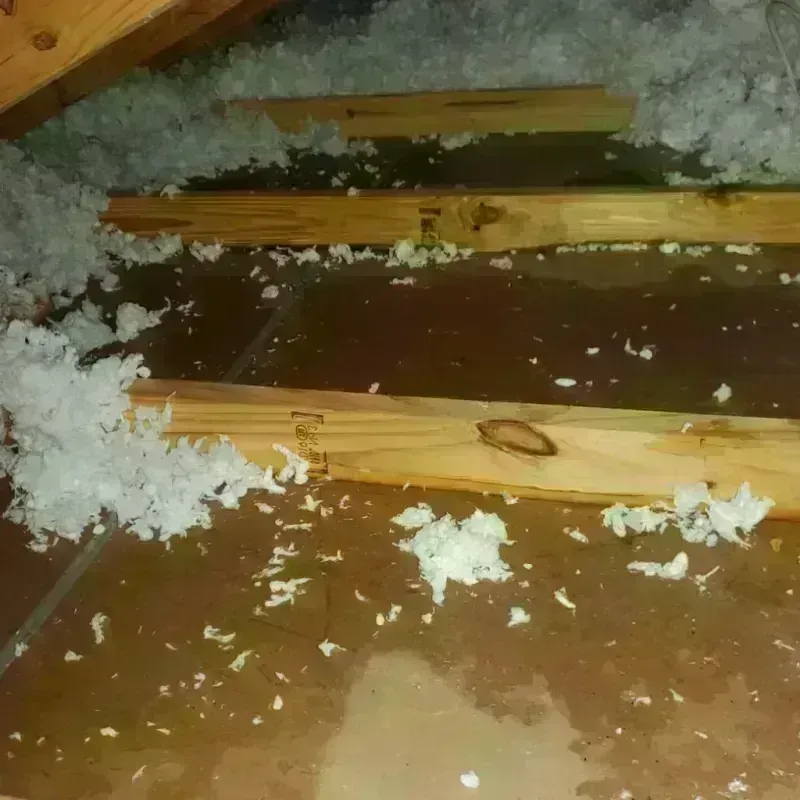 Attic Water Damage in Mount Olive, AL